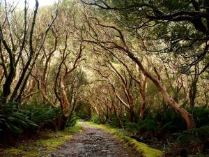 983812_10205402056716999_7533515560258324289_n